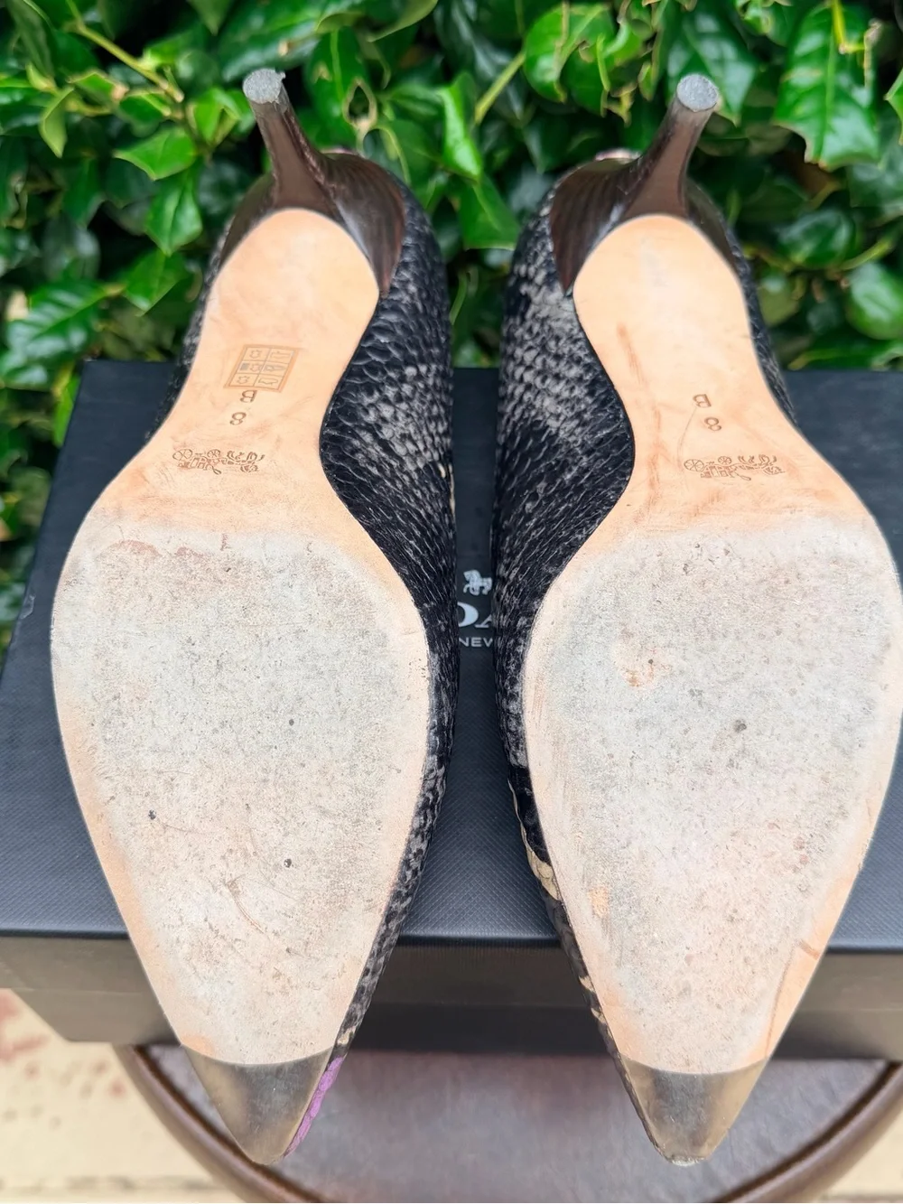 COACH Lacey Multi Python Pointed Toe Pumps - Picture 4 of 5